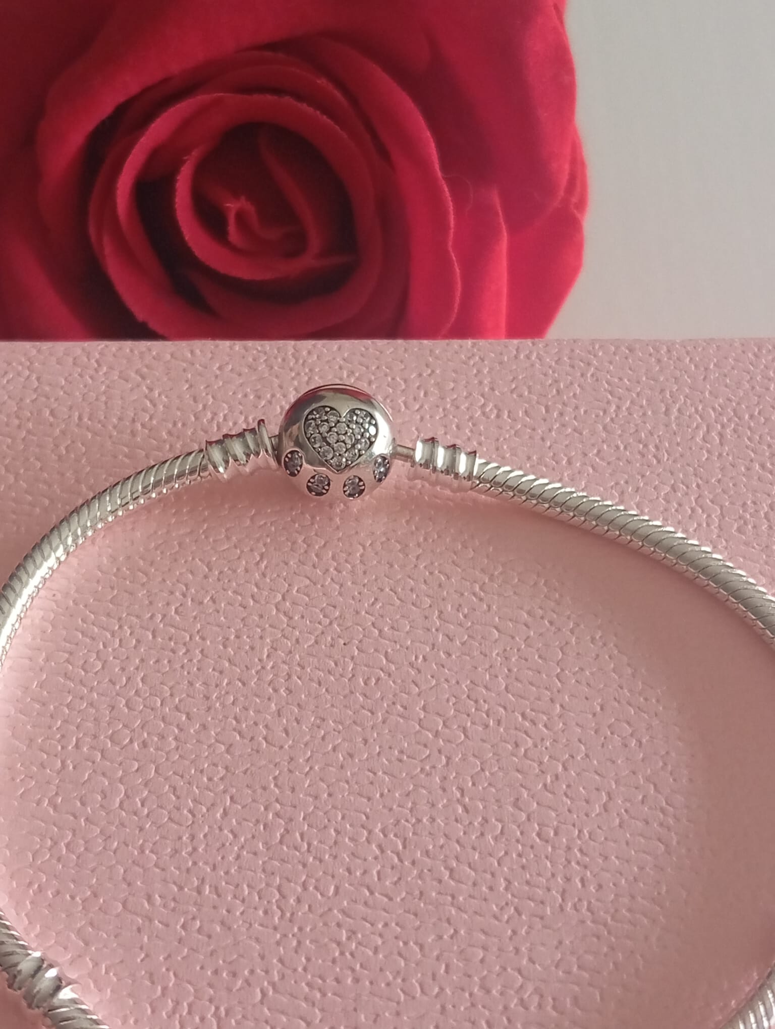 Silver Glam | Pata de Gato